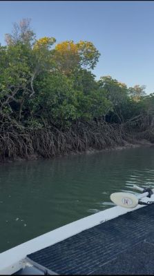 Field Note #001: Why I'm Starting Field Notes